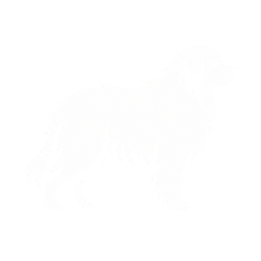 White Pyr Studio